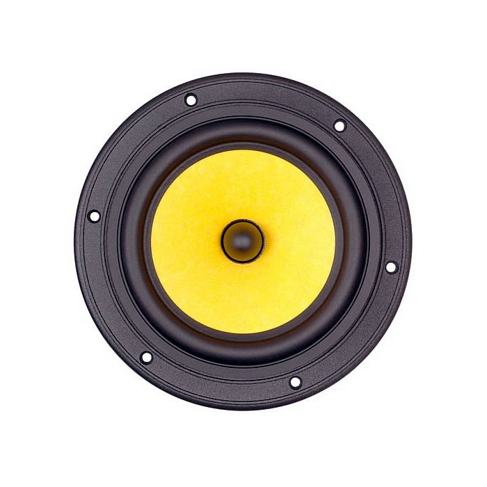 HIVI F6 Kevlar Paper composite cone Bass/Midrange