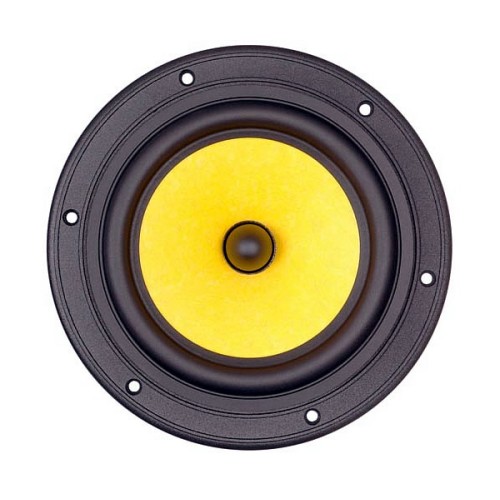 HIVI F6 Kevlar Paper composite cone Bass/Midrange