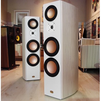 ESPRIT MTW Plus - Floorstanding 3 way tower speakers