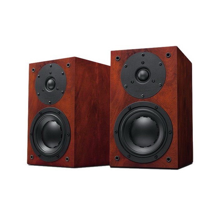 Swans D1.1SE - DIY Speaker Kit