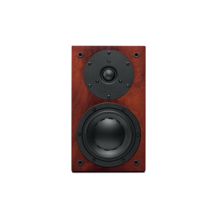 Swans D1.1SE - DIY Speaker Kit