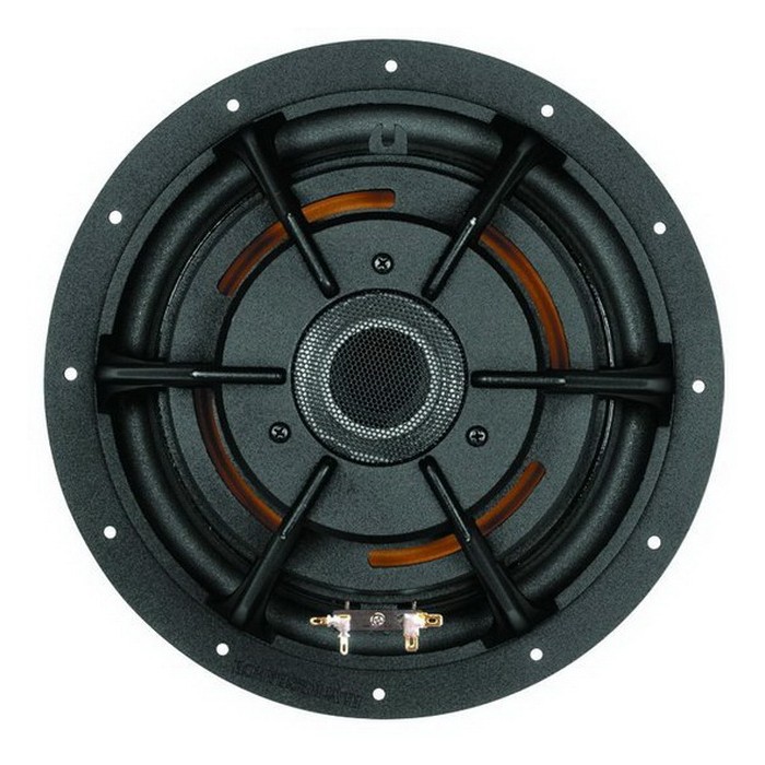 HiVi D10.8 Poly Cone Woofer