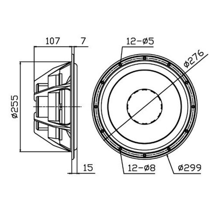 HiVi D10.8 Poly Cone Woofer