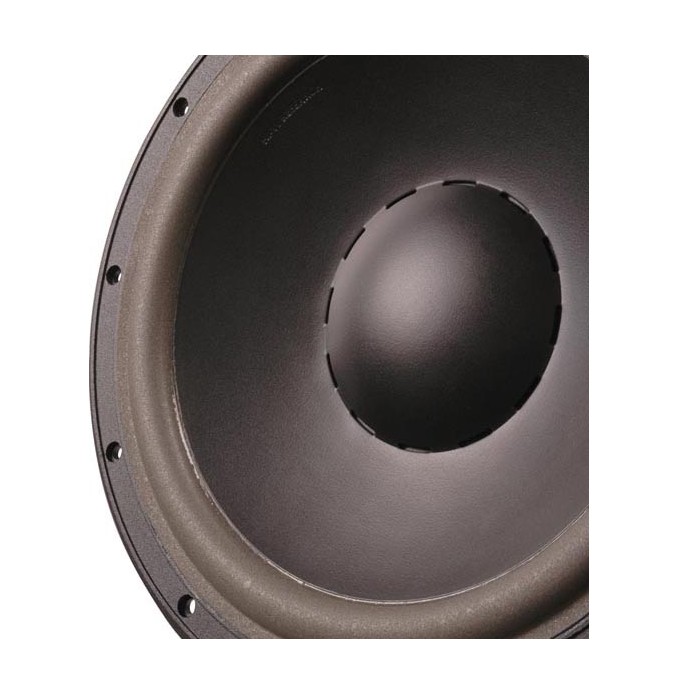 HiVi D10.8 Poly Cone Woofer