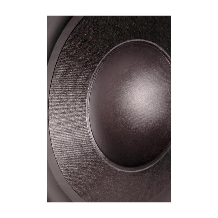 HIVI W10 Kevlar Paper composite cone woofer