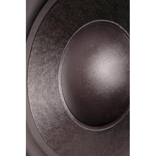 HIVI W10 Kevlar Paper composite cone woofer