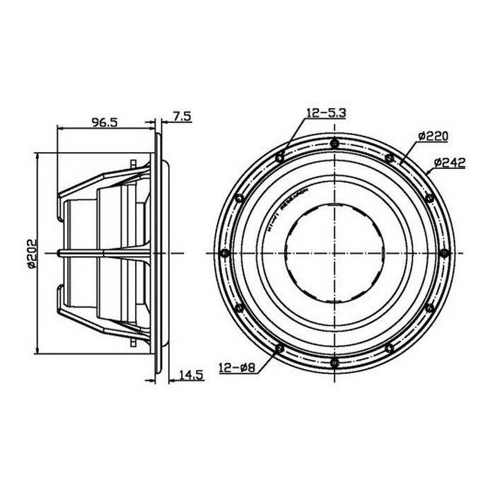 HiVi D8.8+ Poly Shielded Midbass