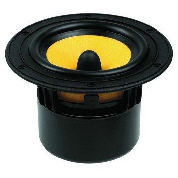 HIVI F5 Kevlar Paper composite cone Bass/Midrange