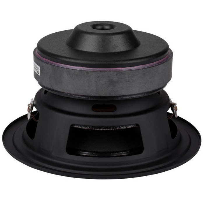 Tang Band W6-1139SIF 6-1/2" Paper Cone Subwoofer Speaker