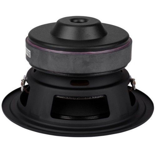Tang Band W6-1139SIF 6-1/2" Paper Cone Subwoofer Speaker
