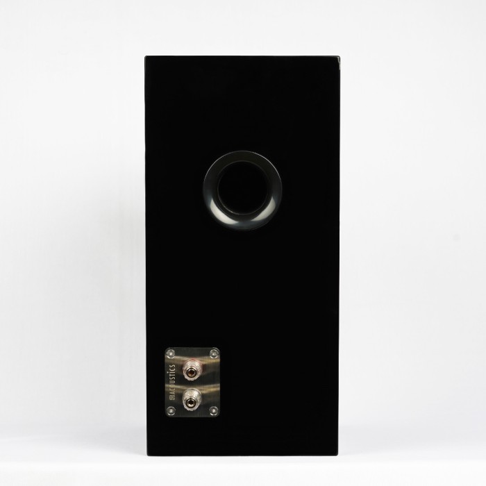 SB Acoustics Ara TX 2 way speaker kit