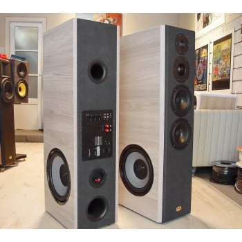 Competence 2.6-12A Half Active 4 way Tower speakers 2