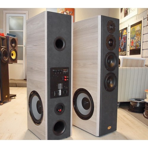 Competence 2.6-12A Half Active 4 way Tower speakers
