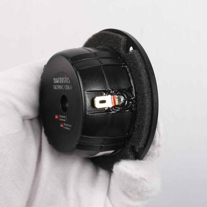 SB29BNC-C000-4 / Beryllium Dome