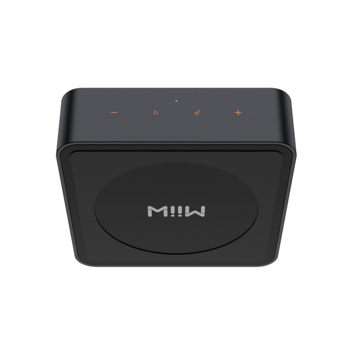 WiiM PRO+ Audio Streamer