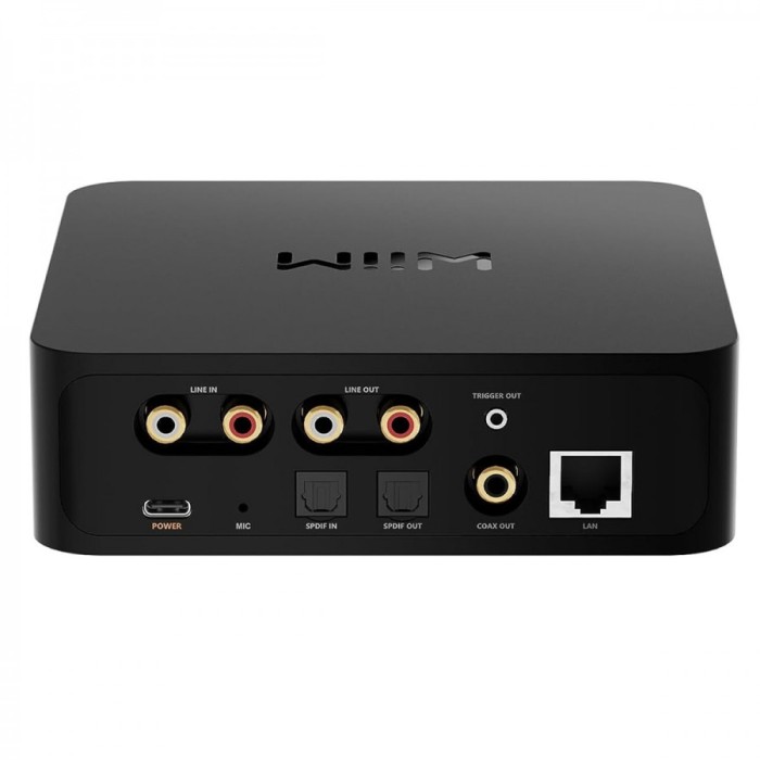 WiiM PRO+ Audio Streamer