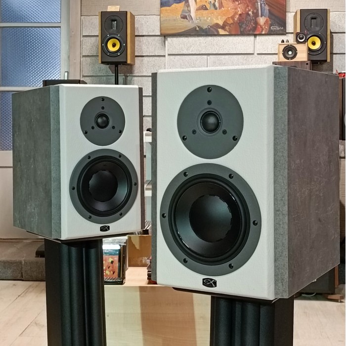 Двулентови акустични тела Exproject D6.2
