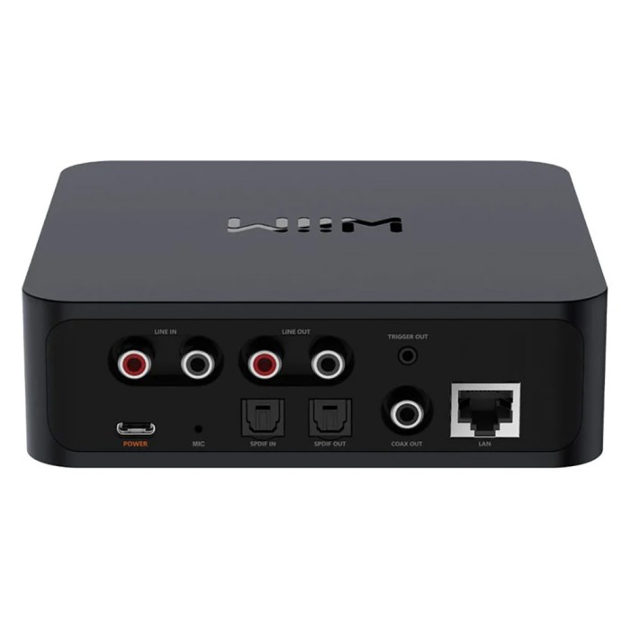 WiiM Pro- Universal Streamer
