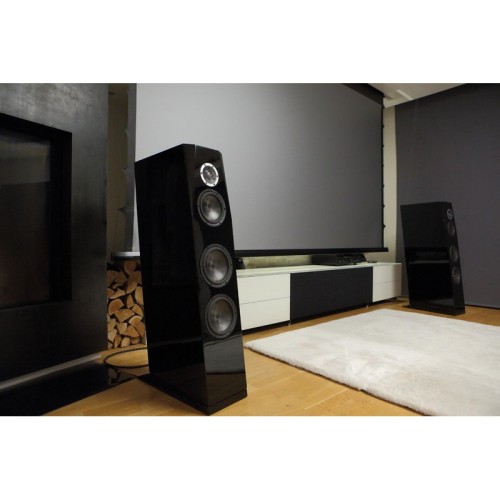 Set of speakers cabinet model SB Acoustics SASANDU