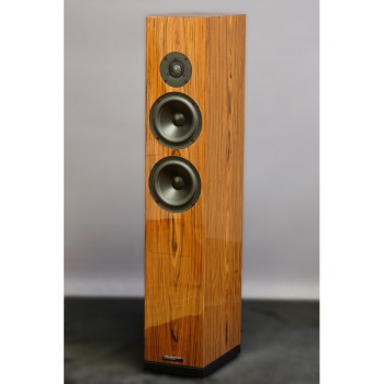SB Acoustics Arya Floor standing 2½-way speaker kit 2
