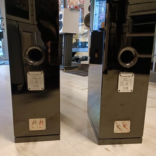 Акустични тела Exproject Arya Ex