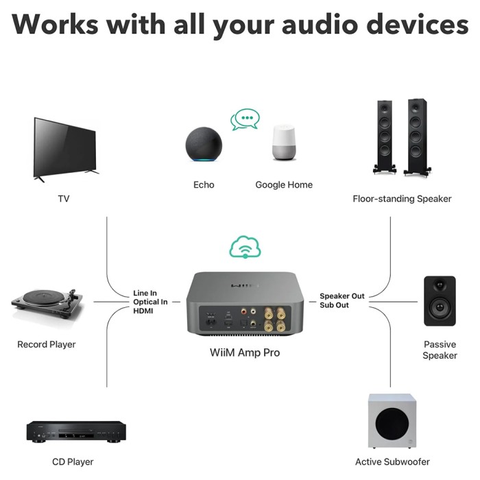 Стерео стрийминг усилвател WiiM Amp Pro