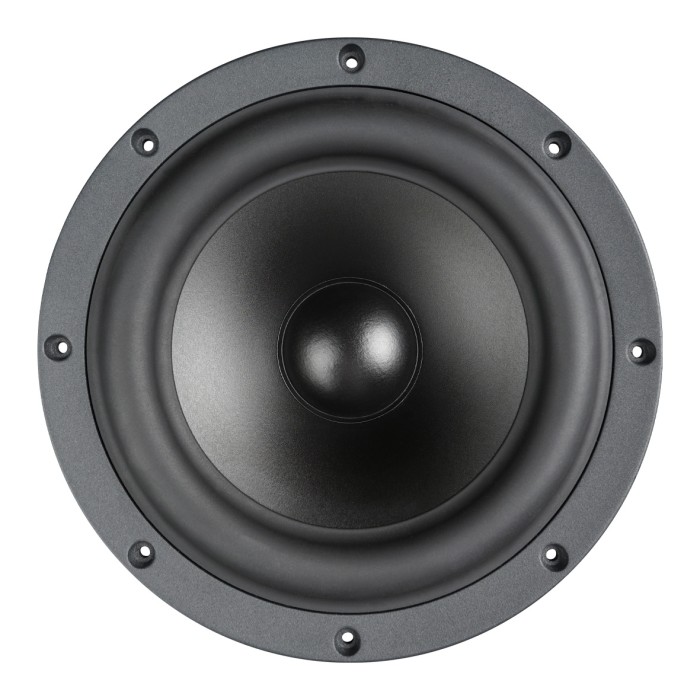 Пасивна мембрана 8″ SB Acoustics SB23MFCL-00