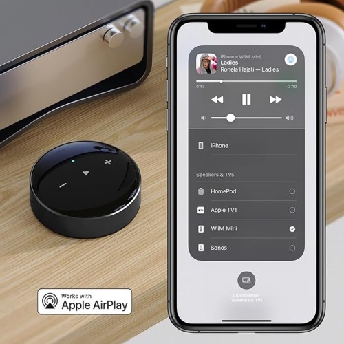 WiiM Mini Audio Streamer with WiFi & AirPlay 2 and Bluetooth 5.2 Multiroom