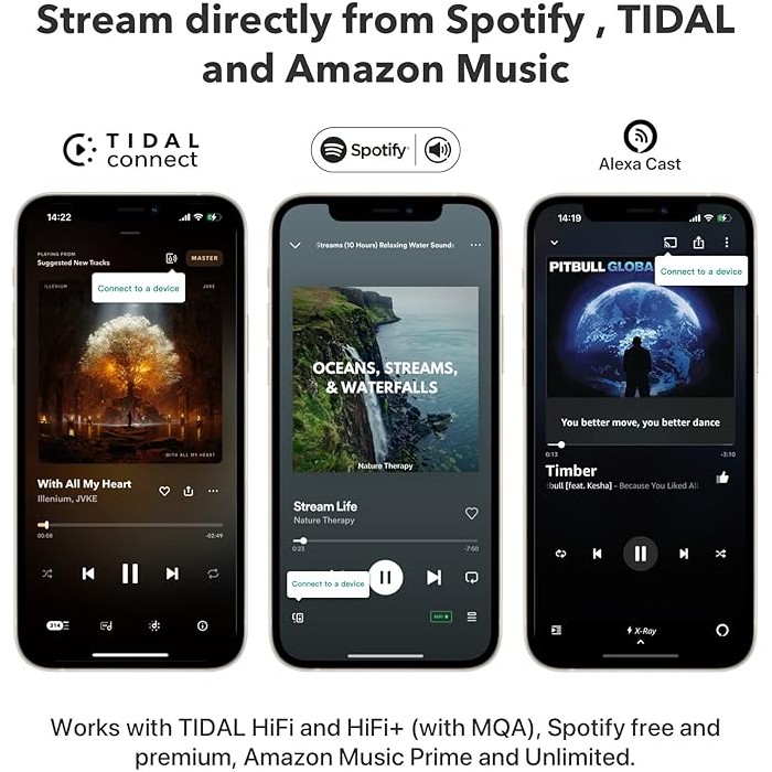 WiiM Mini Audio Streamer with WiFi & AirPlay 2 and Bluetooth 5.2 Multiroom