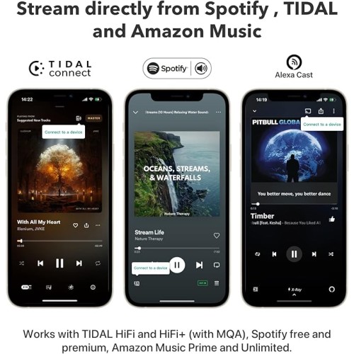 WiiM Mini Audio Streamer with WiFi & AirPlay 2 and Bluetooth 5.2 Multiroom