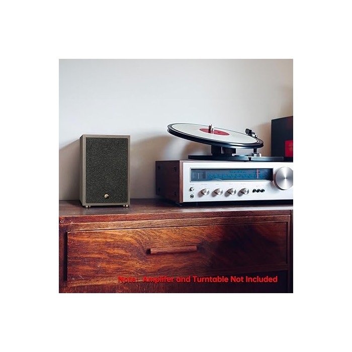 HiVi Swan Oasis 140 Bookshelf Speakers