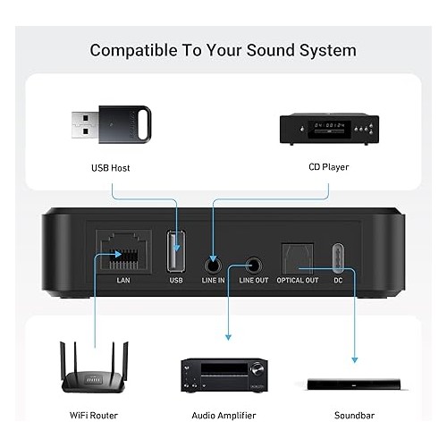 Arylic LP10 AirPlay and Google Cast Music Streamer