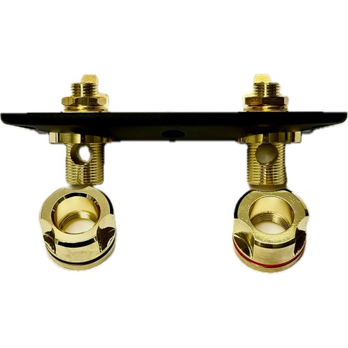 Масивен позлатен терминал за говорители 121 mm x 51 mm