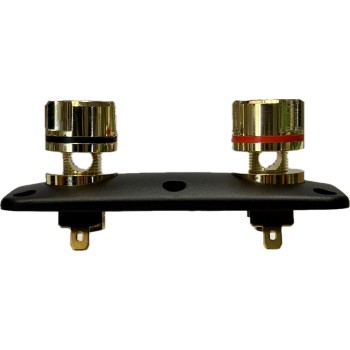 Масивен позлатен терминал за говорители 121 mm x 51 mm 2