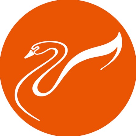 Hivi Swans